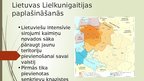 Prezentācija 'Viduslaiku Lietuvas valsts', 5.