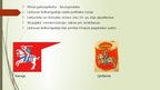 Prezentācija 'Viduslaiku Lietuvas valsts', 6.
