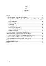 Referāts '"Functional Movement Screen" pielietošana fizioterapijā', 2.