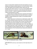 Referāts 'Sabiedrības atspoguļojums latviešu spēlfilmās 80. un 90.gadu mijā', 9.