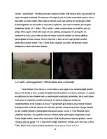 Referāts 'Sabiedrības atspoguļojums latviešu spēlfilmās 80. un 90.gadu mijā', 19.