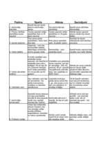 Konspekts 'Atēnu un Spartas salīdzinājums', 1.