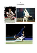 Referāts 'Džudo, tā attīstība Latvijā', 23.