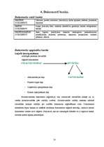 Prakses atskaite 'Hansabanka', 20.