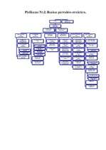 Prakses atskaite 'Hansabanka', 49.