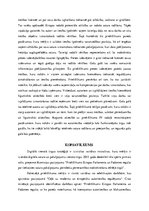 Referāts 'Eiropas Savienības 2019.gada 17.aprīļa direktīvas 2019/790 par autortiesībām un ', 7.