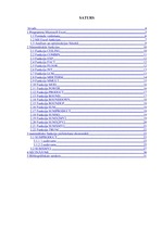 Referāts 'Matemātisko funkciju pielietošana ekonomikas uzdevumos', 4.