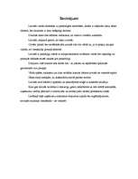 Referāts 'Biznesa kultūra Latvijā', 8.