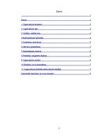 Referāts 'Organizācijas X sociāli psiholoģiskā analīze', 2.