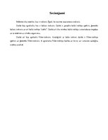 Konspekts 'Baltais troksnis, fliker-troksnis', 11.