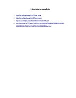 Konspekts 'Baltais troksnis, fliker-troksnis', 12.