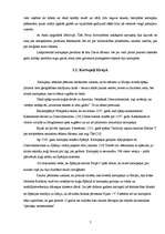 Referāts 'Kartupeļu čipsu ietekme uz cilvēka fizisko un garīgo veselību', 7.