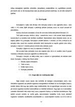 Referāts 'Kartupeļu čipsu ietekme uz cilvēka fizisko un garīgo veselību', 14.