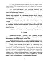 Referāts 'Kartupeļu čipsu ietekme uz cilvēka fizisko un garīgo veselību', 18.