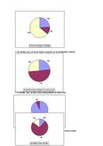 Referāts 'Kartupeļu čipsu ietekme uz cilvēka fizisko un garīgo veselību', 41.