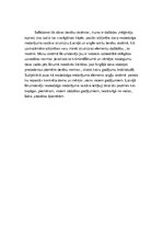 Eseja 'Noziedzīga nodarījuma sastāva uzbūves salīdzinājums Latvijas un anglo-sakšu ties', 3.