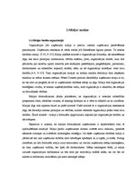 Referāts 'Misijas un vīzijas loma organizācijas funkcionēšanā un attīstībā. Praktisko piem', 10.