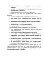 Referāts 'Misijas un vīzijas loma organizācijas funkcionēšanā un attīstībā. Praktisko piem', 12.