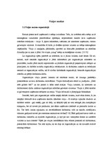 Referāts 'Misijas un vīzijas loma organizācijas funkcionēšanā un attīstībā. Praktisko piem', 13.