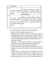 Referāts 'Misijas un vīzijas loma organizācijas funkcionēšanā un attīstībā. Praktisko piem', 23.