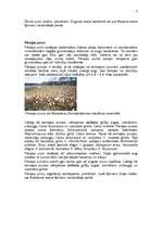 Referāts 'Purvu zinātne (telmatoloģija)', 4.