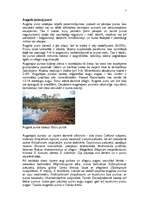 Referāts 'Purvu zinātne (telmatoloģija)', 5.