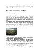 Referāts 'Purvu zinātne (telmatoloģija)', 6.