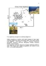 Referāts 'Purvu zinātne (telmatoloģija)', 12.