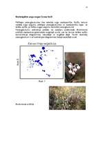 Referāts 'Purvu zinātne (telmatoloģija)', 14.