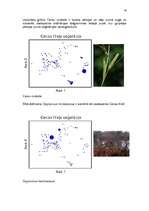 Referāts 'Purvu zinātne (telmatoloģija)', 16.