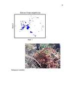 Referāts 'Purvu zinātne (telmatoloģija)', 19.