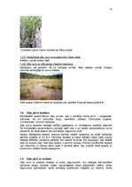 Referāts 'Purvu zinātne (telmatoloģija)', 24.