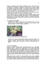 Referāts 'Purvu zinātne (telmatoloģija)', 25.