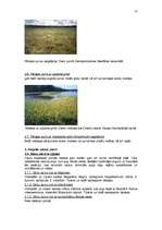 Referāts 'Purvu zinātne (telmatoloģija)', 27.