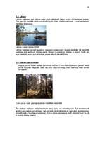 Referāts 'Purvu zinātne (telmatoloģija)', 29.