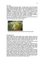 Referāts 'Purvu zinātne (telmatoloģija)', 30.