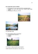 Referāts 'Purvu zinātne (telmatoloģija)', 36.