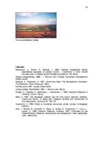 Referāts 'Purvu zinātne (telmatoloģija)', 40.