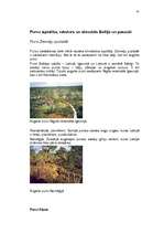 Referāts 'Purvu zinātne (telmatoloģija)', 41.