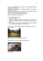 Referāts 'Purvu zinātne (telmatoloģija)', 42.