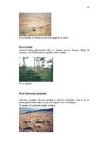 Referāts 'Purvu zinātne (telmatoloģija)', 45.