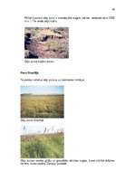 Referāts 'Purvu zinātne (telmatoloģija)', 46.