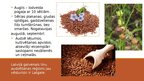 Prezentācija 'Sējas lini', 3.