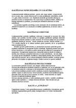 Referāts 'Graudu kalte', 3.