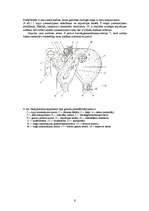 Referāts 'Graudu kalte', 8.