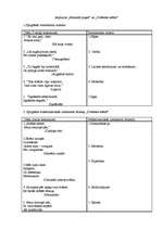 Konspekts 'Aspazijas dzejas analīze', 1.