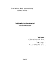 Referāts 'Multiplā jeb izkaisītā skleroze', 1.