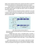 Referāts 'Multiplā jeb izkaisītā skleroze', 5.