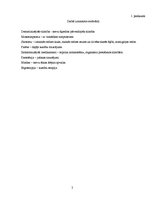 Referāts 'Multiplā jeb izkaisītā skleroze', 26.