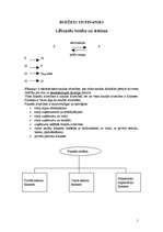 Konspekts 'Budžets un finanses', 1.